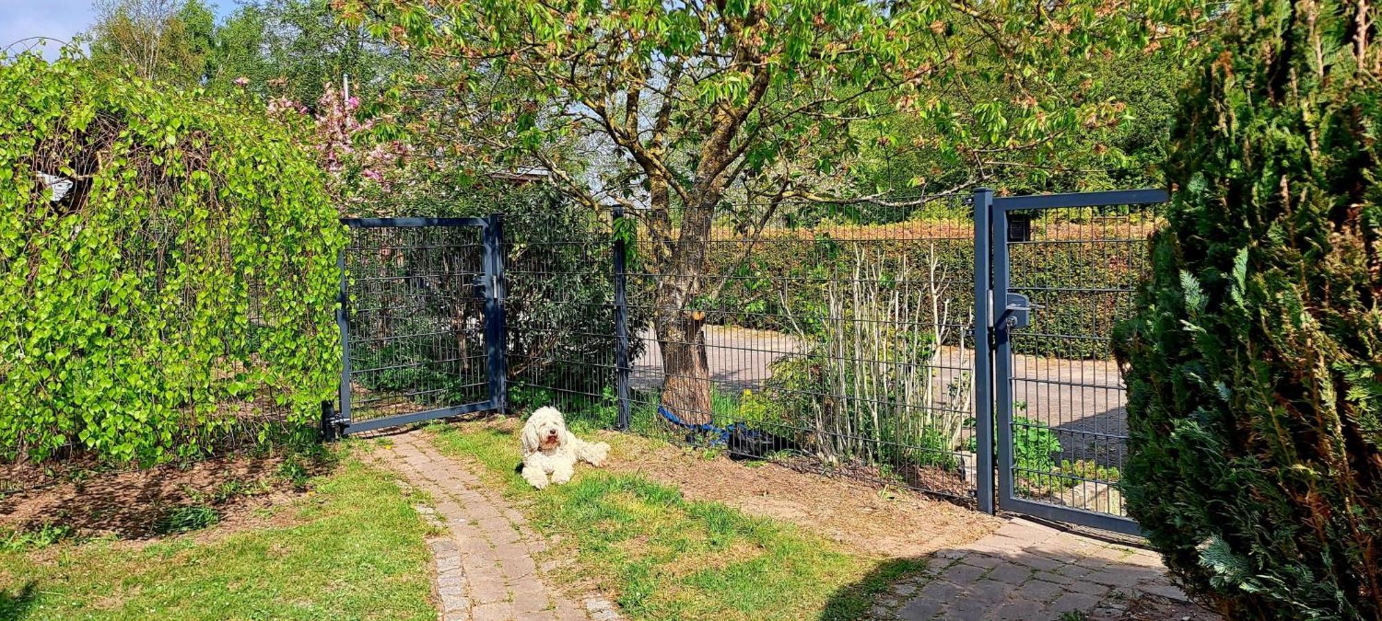 Fewo Sonne Rovershagen Eksteriør bilde